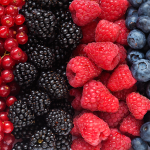 The benefits on berries for a berry good day