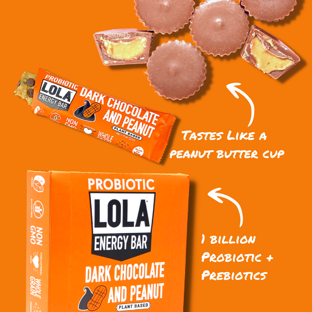 Dark chocolate Peanut probiotic energy bars taste like a healthier version of a peanut butter cup